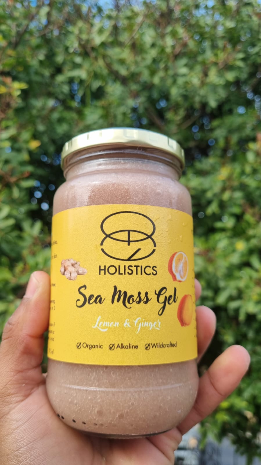Organic Seamoss Gel - Lemon & Ginger